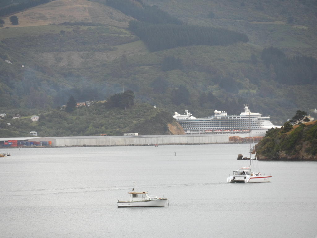 Otago Peninsula Motel Portobello Eksteriør billede